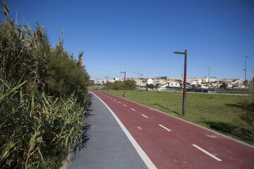 Bicycling