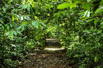 Hiking