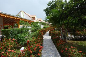 Photo 25