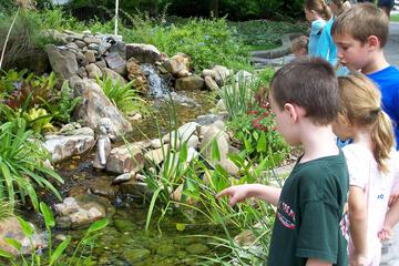 Doubletree by Hilton Charlotte Uptown