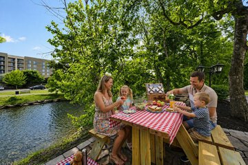 BBQ/picnic area