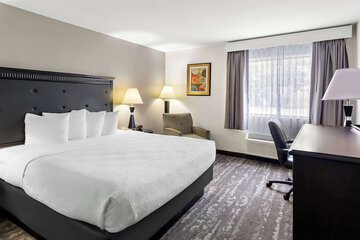 Best Western Saluki Inn