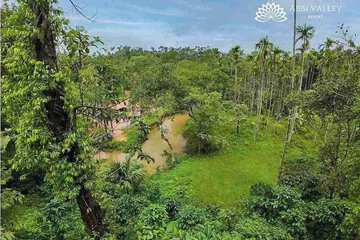 Natural pool