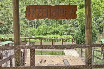 Photo 44