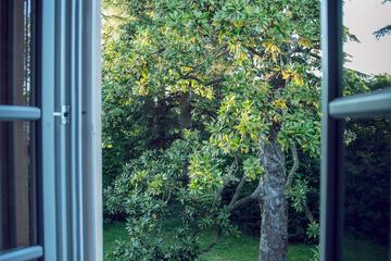 Garden view