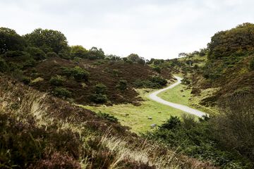Land view from property