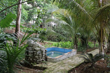 Natural pool