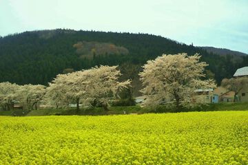 Land view from property