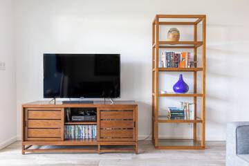 Television