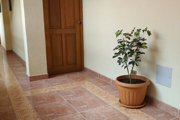 Interior detail