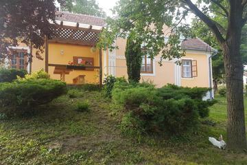 Photo 41