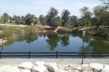 Photo 46
