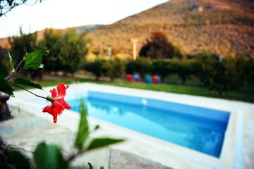 Poolside bar