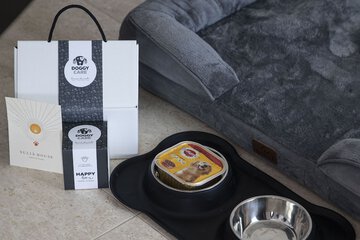 Pet-friendly amenities