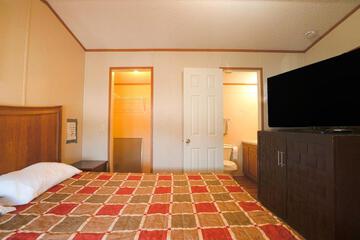 Photo 43