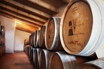 Winery