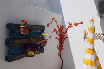Photo 44