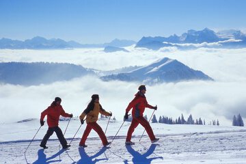 Snow and ski sports