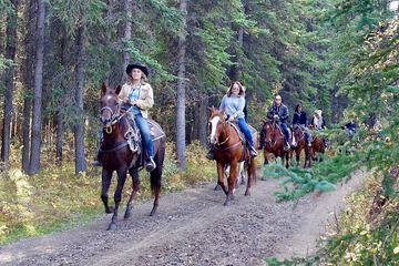 Horseback riding