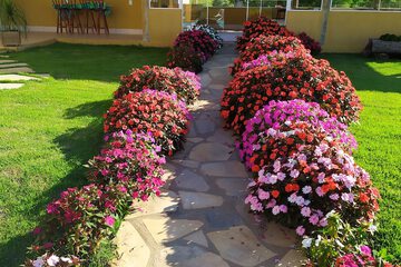 Garden view