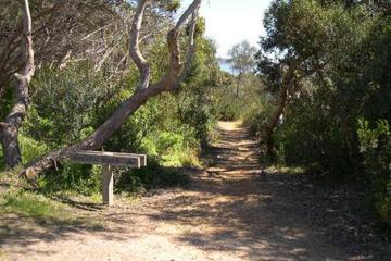 Photo 29