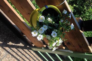 Photo 64