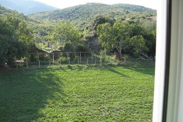 Photo 52