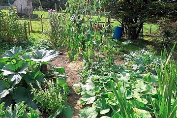 Photo 13