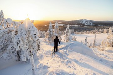 Snowshoeing