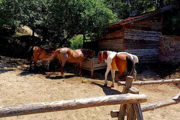 Photo 24