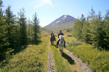 Horseback riding