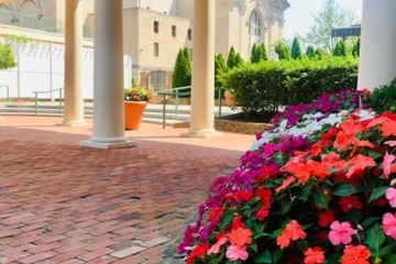 Terrace/Patio 83 of 85