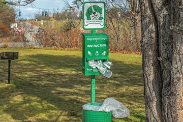 Pet-friendly amenities