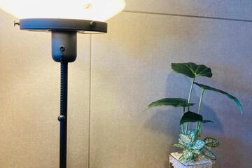 Photo 42