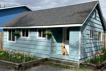 Photo 18