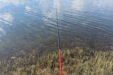 Fishing