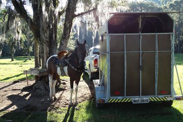Horseback riding