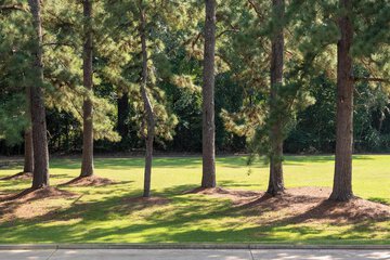 Outdoor banquet area