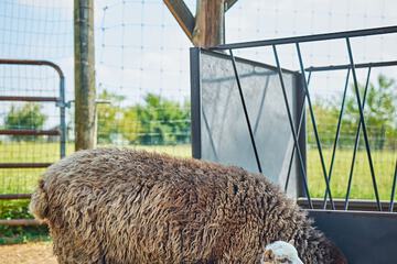 Children's activities