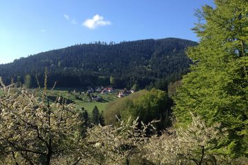 Hiking