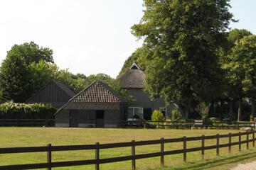 Photo 27