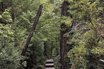 Hiking