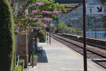 Photo 44