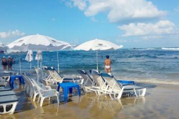 Photo 44