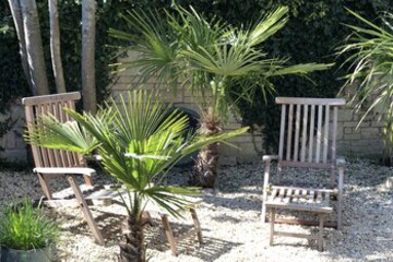 Terrace or Patio