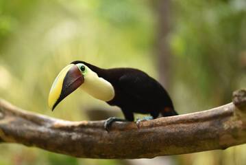 Ecotours