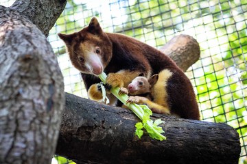 Children's activities