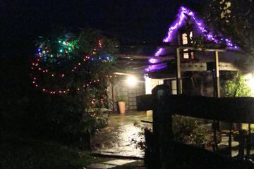 Photo 29