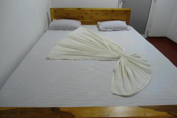 Photo 50