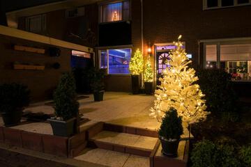 Photo 43